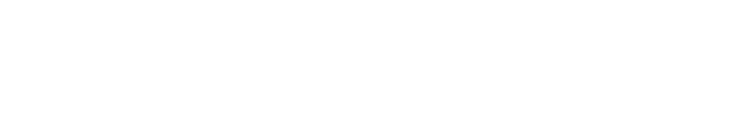 Docubird